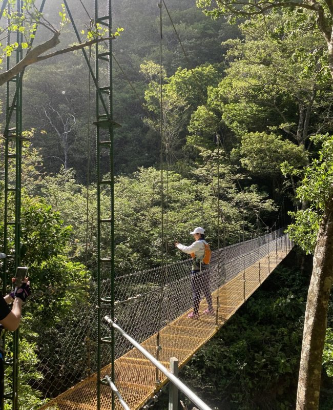 Puente Araña